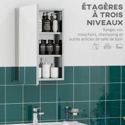 KLEANKIN Armoire Miroir Murale Salle De Bain Toilette Dim. 39L X 12l X 60H Cm Acier Inox. Verre -Paris Prix boutique B2CD 1191